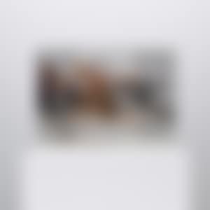 PixCell [Mandarin Duck] (preview)