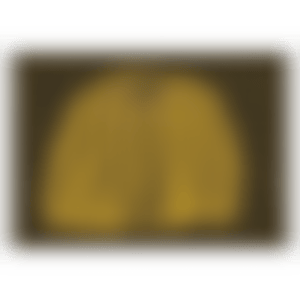 Pumpkin (preview)