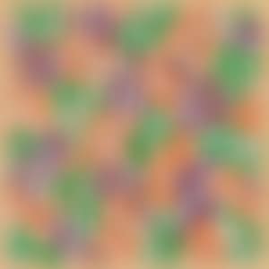 Untitled (ULAE S.13) (preview)