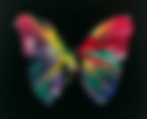 Untitled (Butterfly spin painting) (preview)