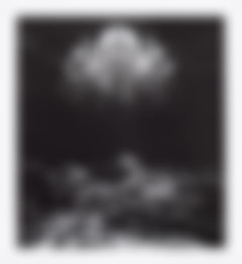 Untitled (Throne Room), from Charcoal portfolio (preview)