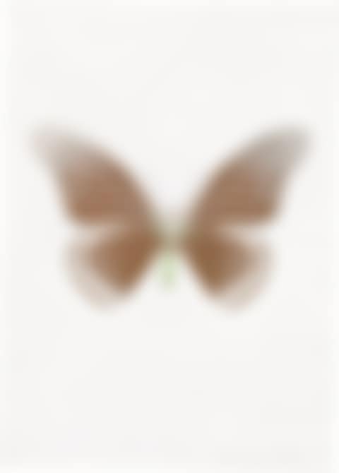 The Souls IV - Chocolate/Silver Gloss/Leaf Green (preview)