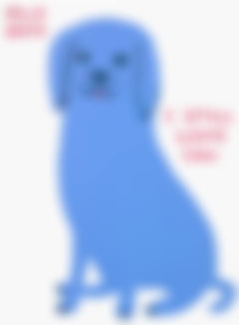 Untitled (Old Dog) (preview)