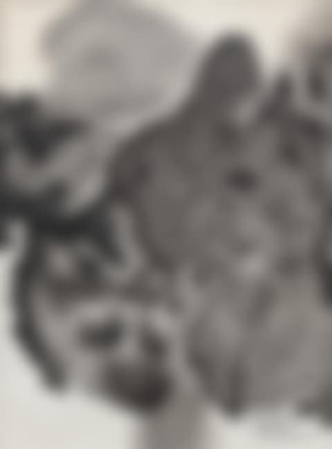 Sans Titre (preview)