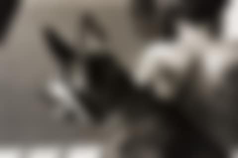 Howard Beach (preview)