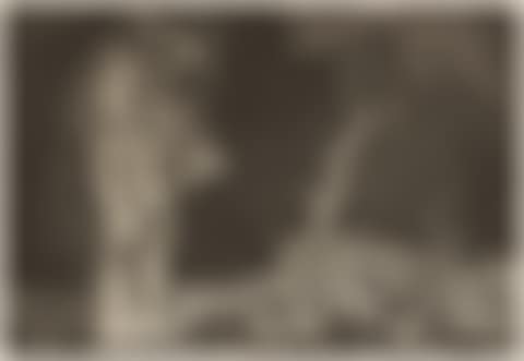 Disparate de Miedo  (preview)