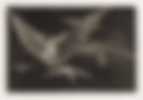 Modo de Volar  (preview)