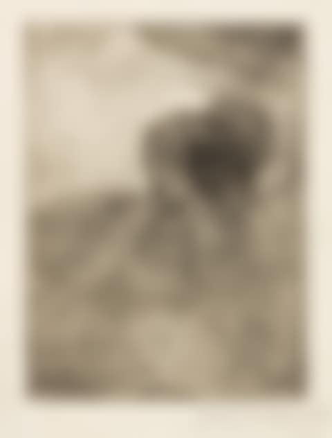 Two Ladies in a Loge, Facing Left (no.2) (preview)