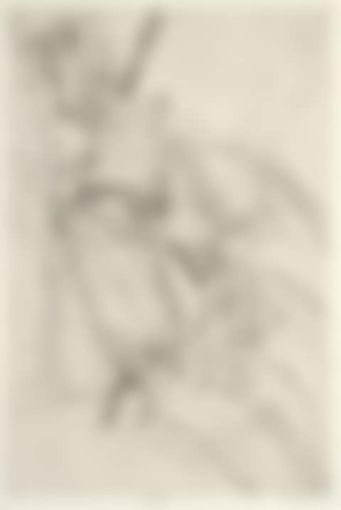 Water Veiled (preview)