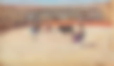 Bull fight (preview)