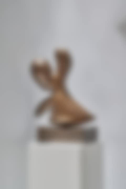Fruit Agressif (preview)