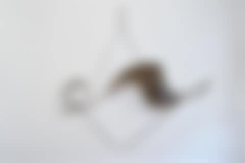 Latah (preview)