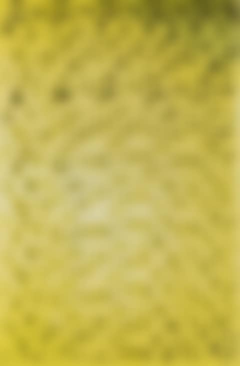 Untitled (Kölnischer Kunstverein) (preview)