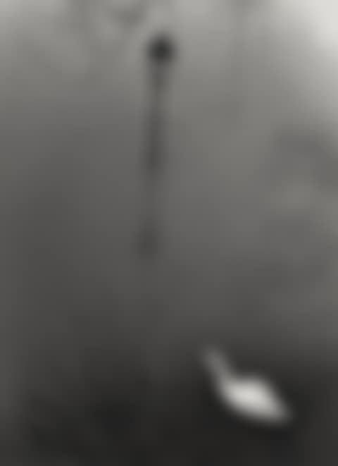 Paris  (preview)