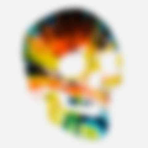 Skull Spin Painting (preview)