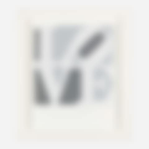 Plate 4 (Gray) (from Book of Love portfolio) (preview)