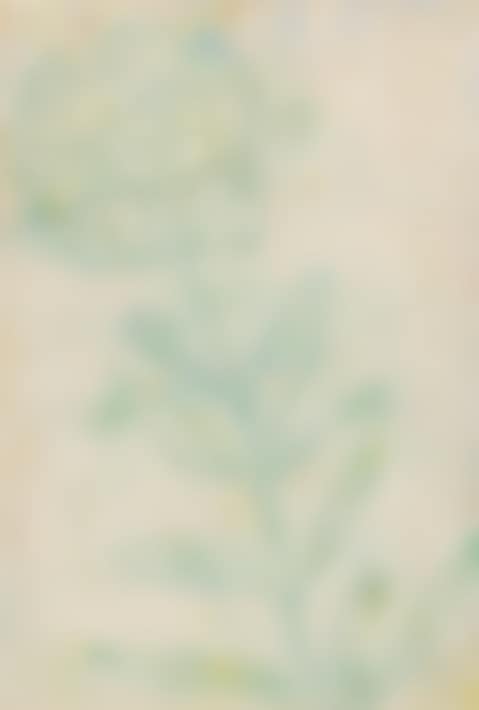 Small umbel of flowers (preview)