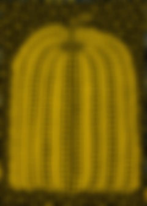 Pumpkin (preview)