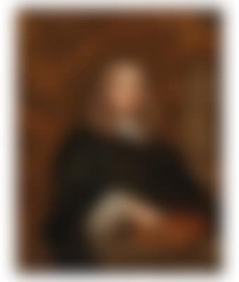 Portrait of a young scholar, half-length (preview)
