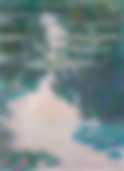 Nymphéas, temps gris (preview)