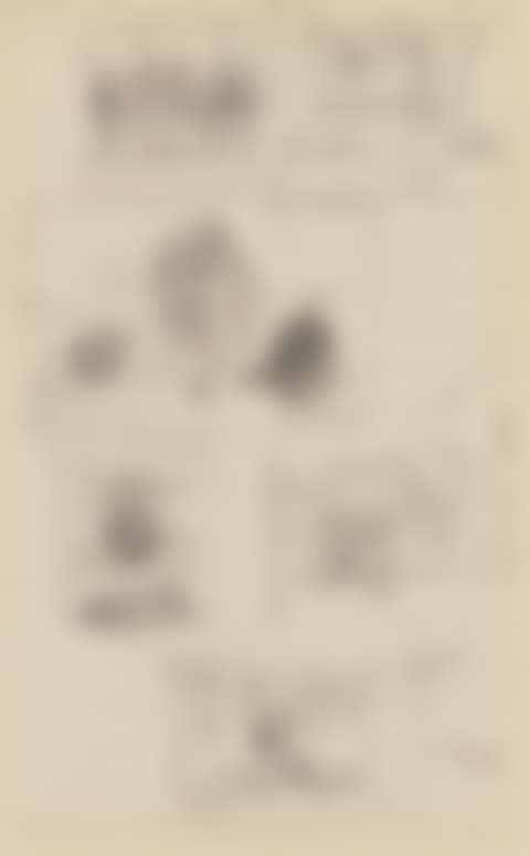 Sheet of studies (preview)