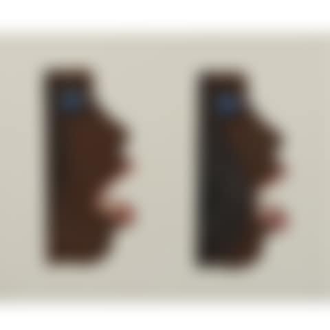 Double Study for Face (preview)