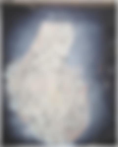 Willem I (preview)