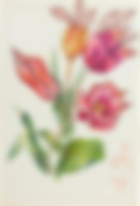 Les fleurs-lèvres (preview)