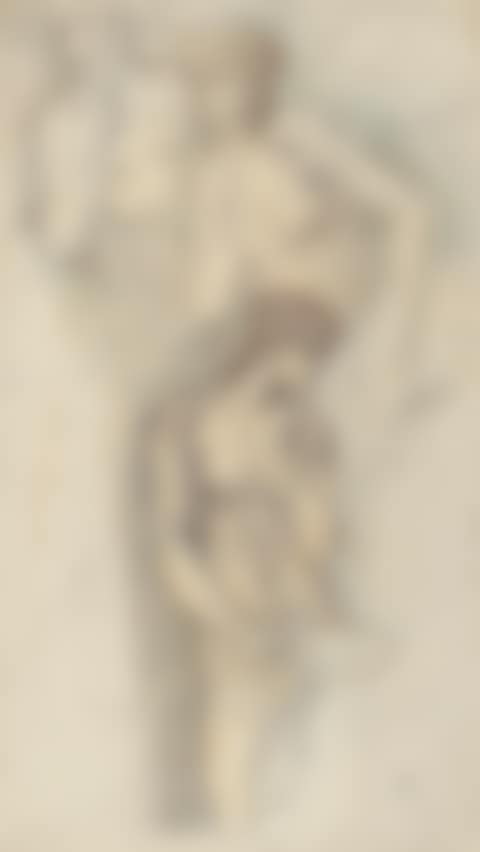 Study of Hill Fairies (preview)