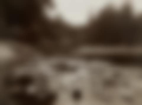Bagatelle, Nymphéa (preview)