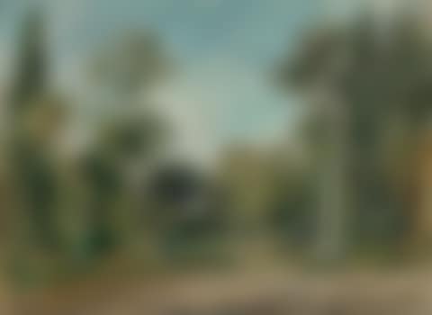 Paysage boisé (preview)