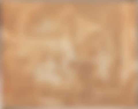 Adoration of the Shepherds (preview)