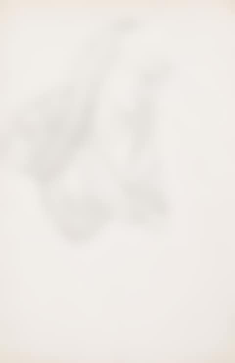 Study for The Wheel of Fortune (recto); Study of drapery (verso) (preview)