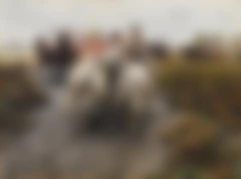 Coming Home! (preview)