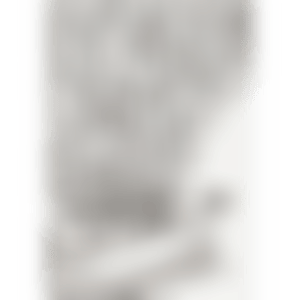 Holding Memory (preview)