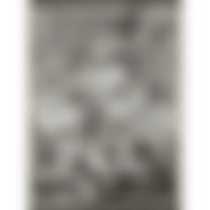 Swan Engraving Framed Ⅰ (Axsom 167) (preview)