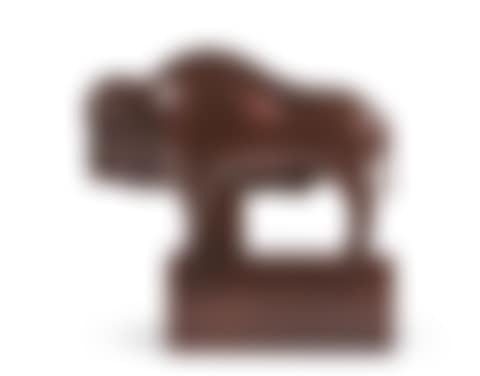 Bison américain (preview)
