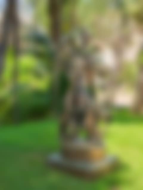 Ingeniere (preview)