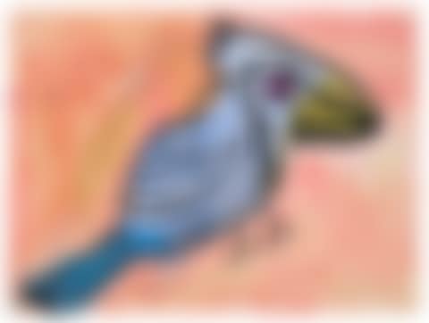 Untitled (preview)