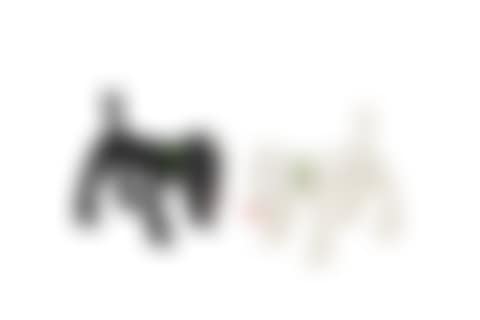 Shinning Doggy (Black & White) (preview)