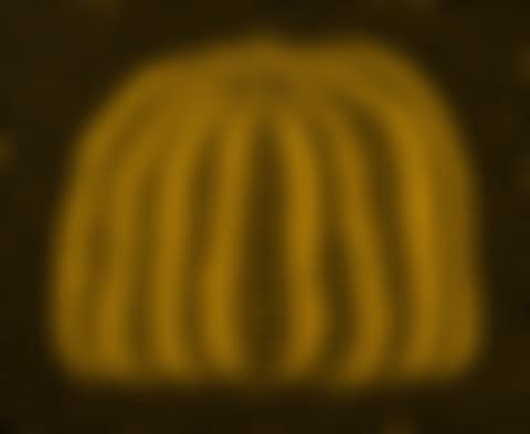 A Pumpkin (Y) (preview)