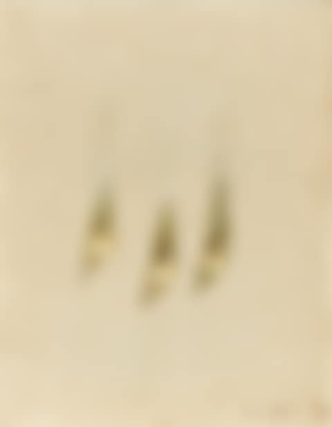 Waterdrops (preview)