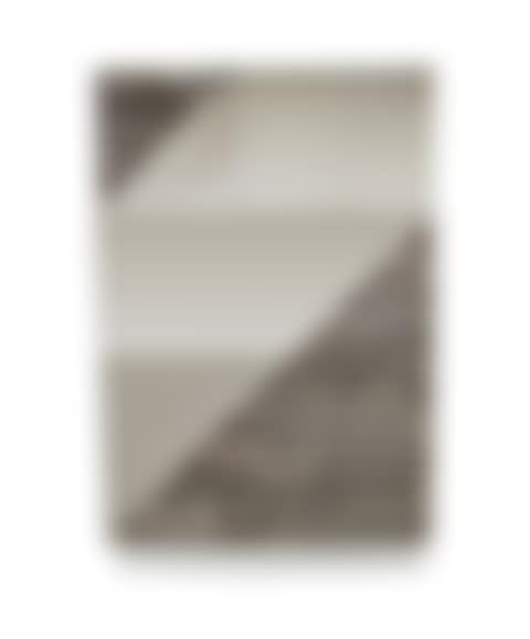 Immagine trasversale (preview)