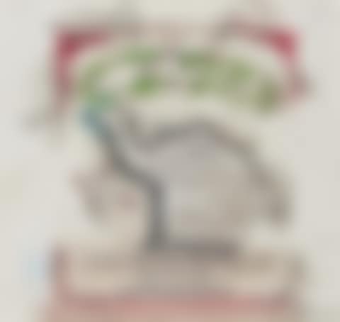 Camel (preview)