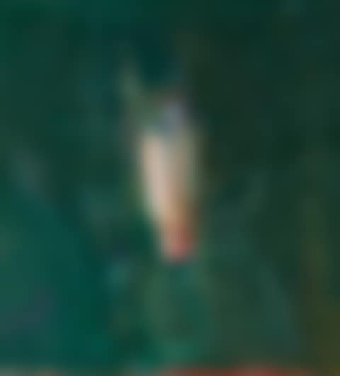 Horse's Head (preview)