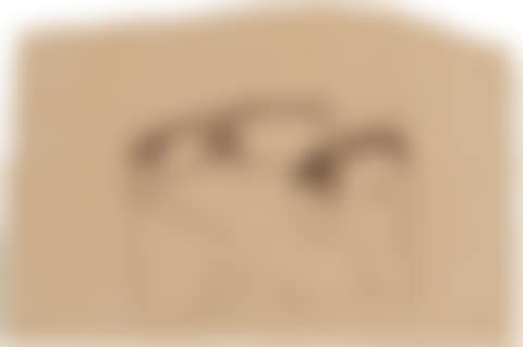 Drawing for Long-Delayed Nude (preview)