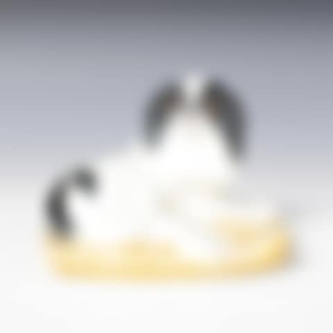 JAPANESE CHIN (preview)