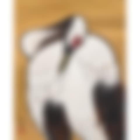 CRANE (preview)