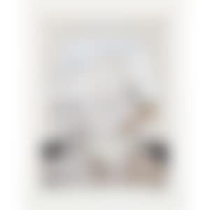 FILLETTE AU CHAT DEVANT LA FENETRE OUVERTE / GIRL WITH A CAT IN FRONT OF THE OPEN WINDOW (preview)