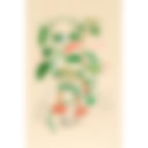 Pisum Sensuale, from Floridali (preview)
